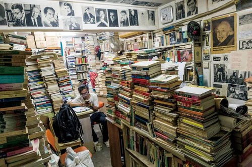 买书如山倒 从狂热到理性的阅读投资之旅